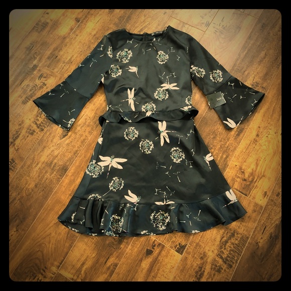 Zara Dresses & Skirts - Zara DragonFly Dandelion Long Sleeve Peplum Dress
